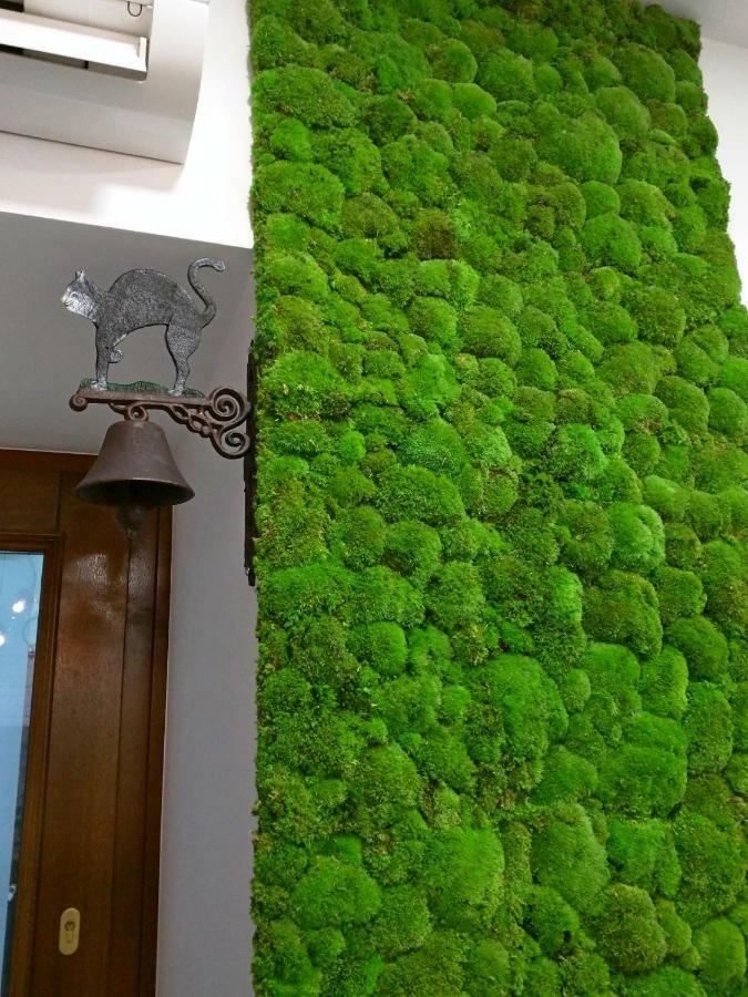 Apartament Starowislna Kraków Exteriör bild